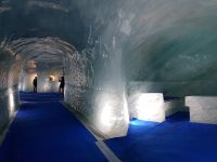 Chamonix: Mer du Glace (
