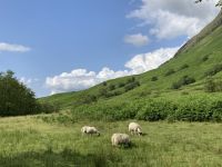 3. Reisetag – Von Glasgow nach Fort William – Wanderung im Glen Nevis