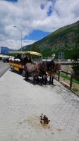 Pontresina - unsere Kutschen...