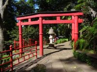 Monte - Tropischer Garten