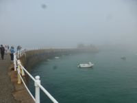 Unsere Inselrundfahrt beginnt im Nebel.
