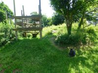 Die großzügigen und sehr natürlichen Gehege beeindrucken im Vergleich zu anderen Zooanlagen.