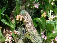 So viele verschiedene Formen und Farben.