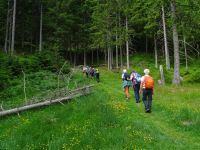 Abstecher zu einer privaten Alm