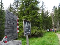 Im Naturpark Drei Zinnen