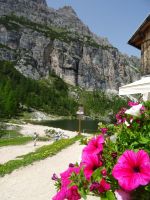 Am Federasee
