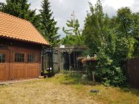 Krutinnen-storchenkrankenhaus (3)