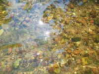 Staakenbootfahrt auf der KRUTINNEN (10)