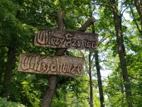 Wolfsschanze (2)