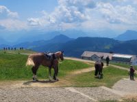 Rigi 2023