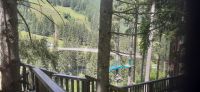 Blick vom Baumwipfelpfad