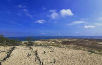 Dünenlandschaft auf der Kurischen Nehrung