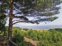 Blick von der Düne auf Nida, Kurische Nehrung