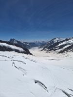 157 Jungfraujoch - auf dem Aletschgletscher liegt wieder Saharastaub