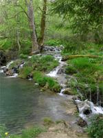 Der romantische Wimser Wasserfall