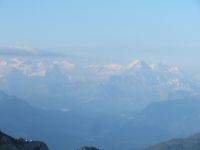 286 Auf dem   Pilatus - Morgenstimmung