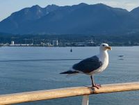 Jonathan auf Fruehstuecks-suche