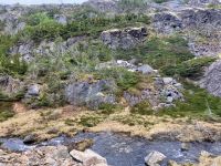 Der Skagway Fluss ist so weit unten…..