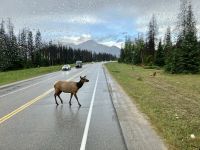 Ich bin auch eingeladen fuers Kaffeekraenzchen