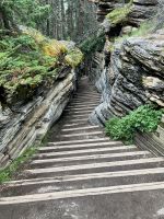 Athabasca Schlucht