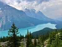 Der Peyto Lake.