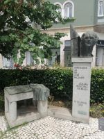 Doktor José Salgado: Anwalt, Schriftsteller und Verwaltungsbürgermeister von Braga