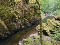 9. Reisetag – Von Inverness nach Edinburgh – Wanderung auf den Spuren von Robert Burns zu den „Birks of Aberfeldy“