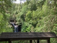 9. Reisetag – Von Inverness nach Edinburgh – Wanderung auf den Spuren von Robert Burns zu den „Birks of Aberfeldy“