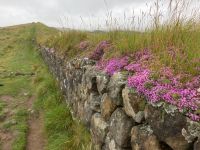 11. Reisetag – Von Edinburgh nach Dumfries – Wanderung am Hadrianswall