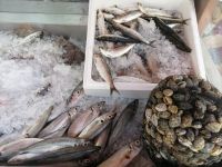 Fisch-Restaurant Nova Casa Cacao in Nazaré