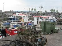 im Hafen von Carnlogh