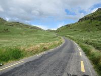  grün ist`s im Donigal