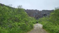 Rundreise Island - Spaziergang in der Ásbyrgi-Schlucht