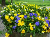 Schloss Gripsholm: Park