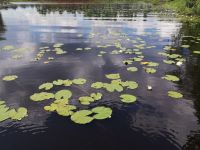 Seenlandschaft in Smaland