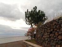 An der Promenade Richtung Canico Baixo