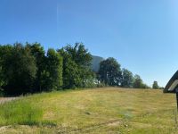 Hinter den Bäumen wartet eine große Überraschung