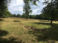 Heide bei Schneverdingen
