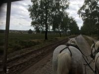 Kutschfahrt