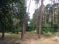 Serengetipark