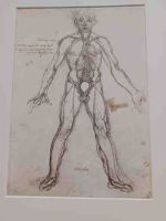 Clos-Lucé - Medizinische Studien von Leonardo da Vinci