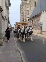 Tours Altstadt