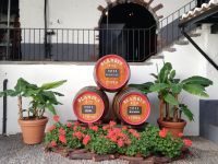 Blandy´s Weingut