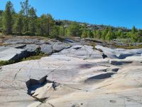 Alta Museum - Felszeichnungen