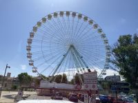 Avignon