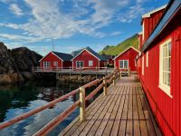 Statles Rorbusenter in Mortsund