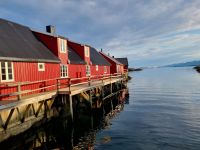 Statles Rorbusenter in Mortsund