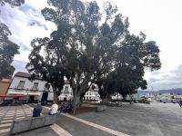 Ribeira Grande (5)