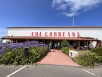 ...in der Teefabrik (3)