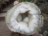 Petras Steinesammlung